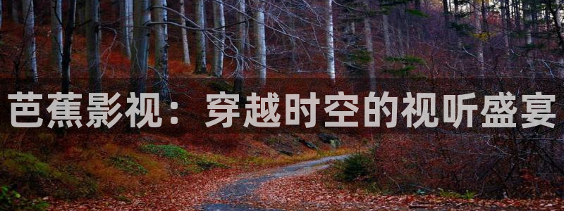 上海斑马：芭蕉影视：穿越时空的视听盛宴