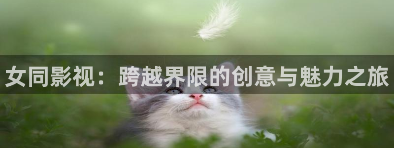 济南 斑马：女同影视：跨越界限的创意与魅力之旅