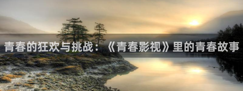 斑马 电影：青春的狂欢与挑战：《青春影视》里的青春故事