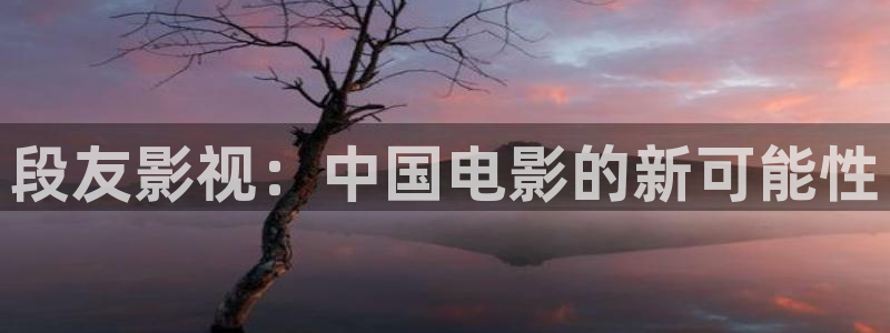 斑马影音在线观看：段友影视：中国电影的新可能性