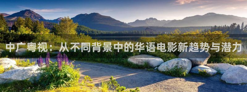 斑马本：中广粤视：从不同背景中的华语电影新趋势与潜力