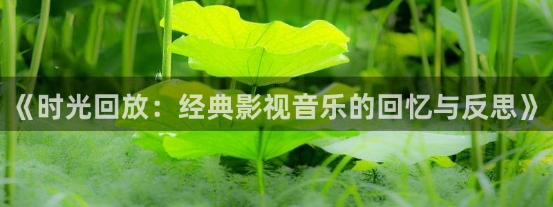 斑马j4j1：《时光回放：经典影视音乐的回忆与反思》