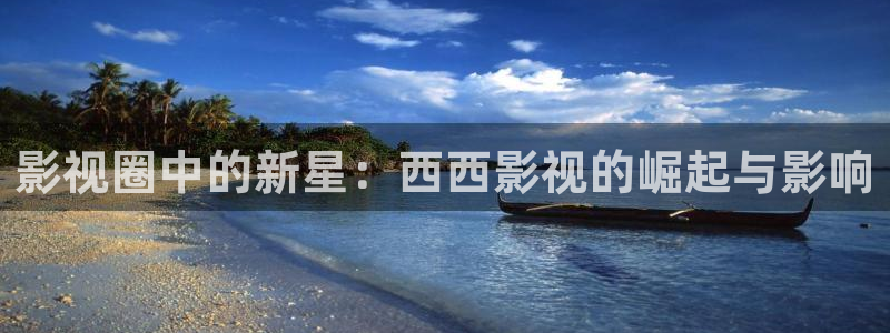 斑马影院：影视圈中的新星：西西影视的崛起与影响