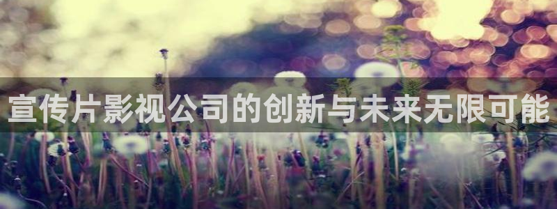 斑马系统5.0：宣传片影视公司的创新与未来无限可能