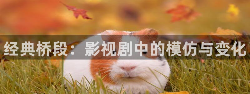 斑马总部：经典桥段：影视剧中的模仿与变化