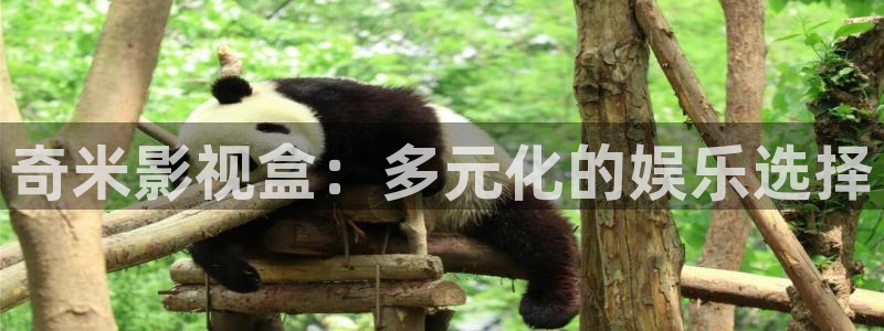 斑马技术有限公司：奇米影视盒：多元化的娱乐选择
