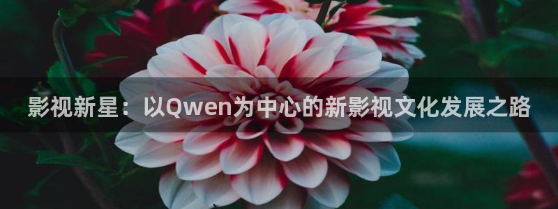 斑马 170xi4：影视新星：以Qwen为中心的新影视文化发展之路
