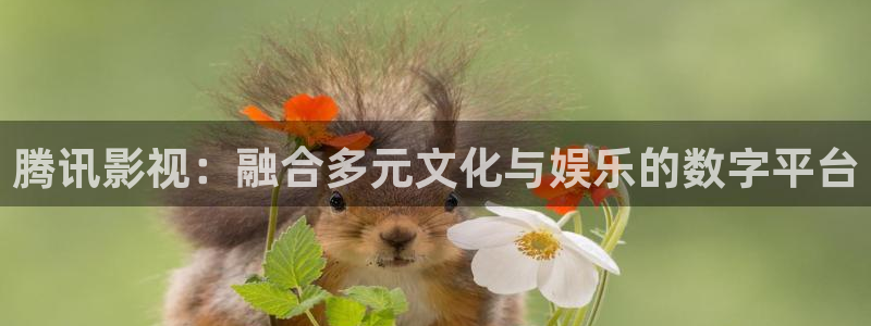 斑马jj1：腾讯影视：融合多元文化与娱乐的数字平台