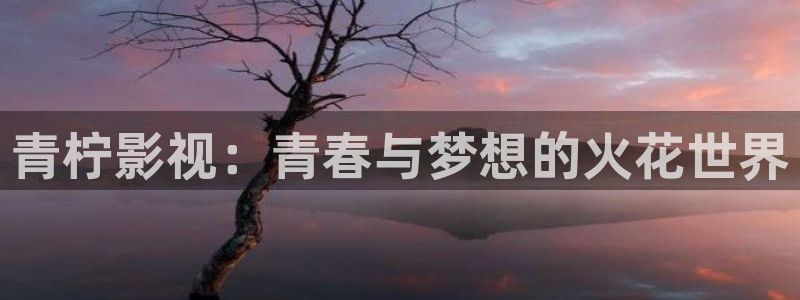 斑马视频在线观看免费完整：青柠影视：青春与梦想的火花世界