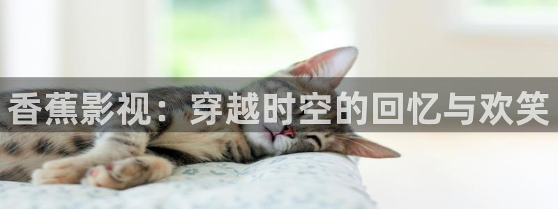 北京斑马：香蕉影视：穿越时空的回忆与欢笑